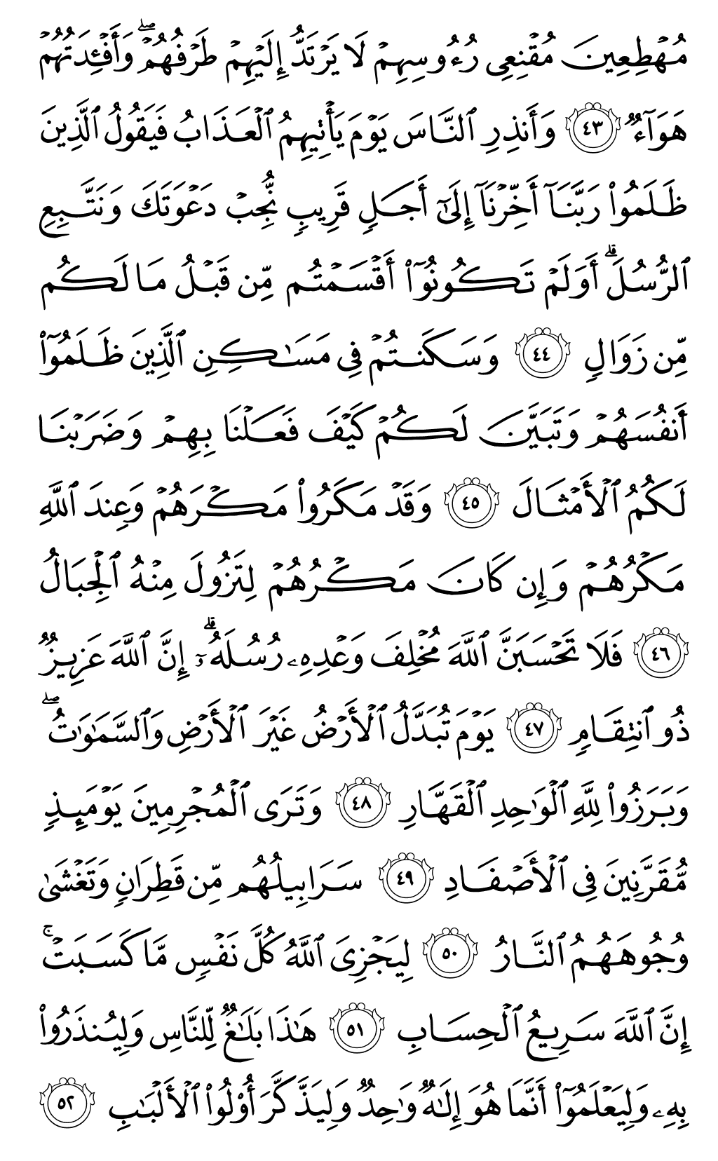 Page 261